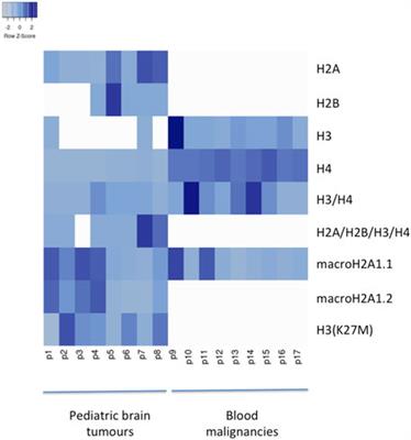 Detection of cell-free histones in the cerebrospinal fluid of pediatric central nervous system malignancies by imaging flow cytometry